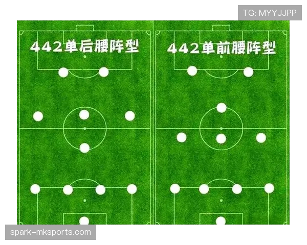 新阵型应用推动球队战术革新，显著提升比赛信息传播效率与准确性