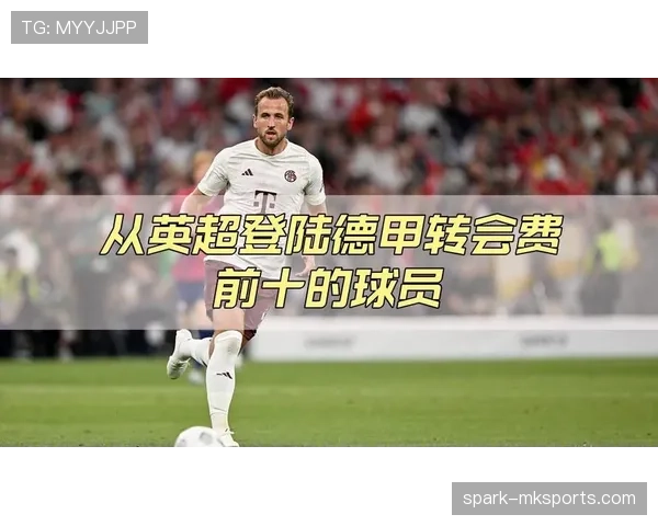 德甲转会市场火热,明星球员流动助推各队竞争力全面升级 德甲转会市场火热,明星球员流动助推各队竞争力全面升级