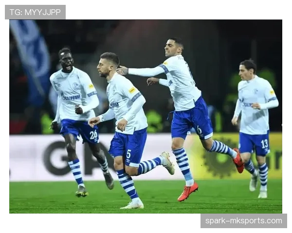 沙尔克04阵容深度提升，新赛季竞争力备受期待