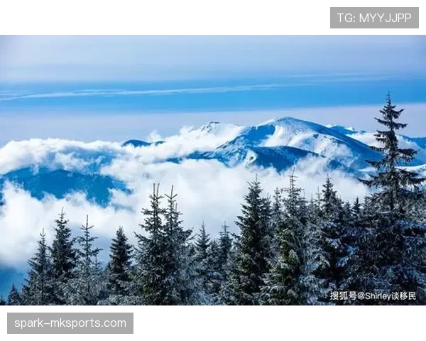 斯洛伐克政府近期推出新举措以促进本国经济可持续发展状态分析